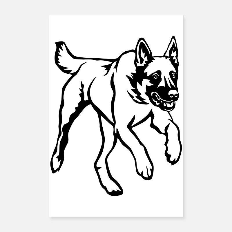 Malinois Poster 60x90 cm