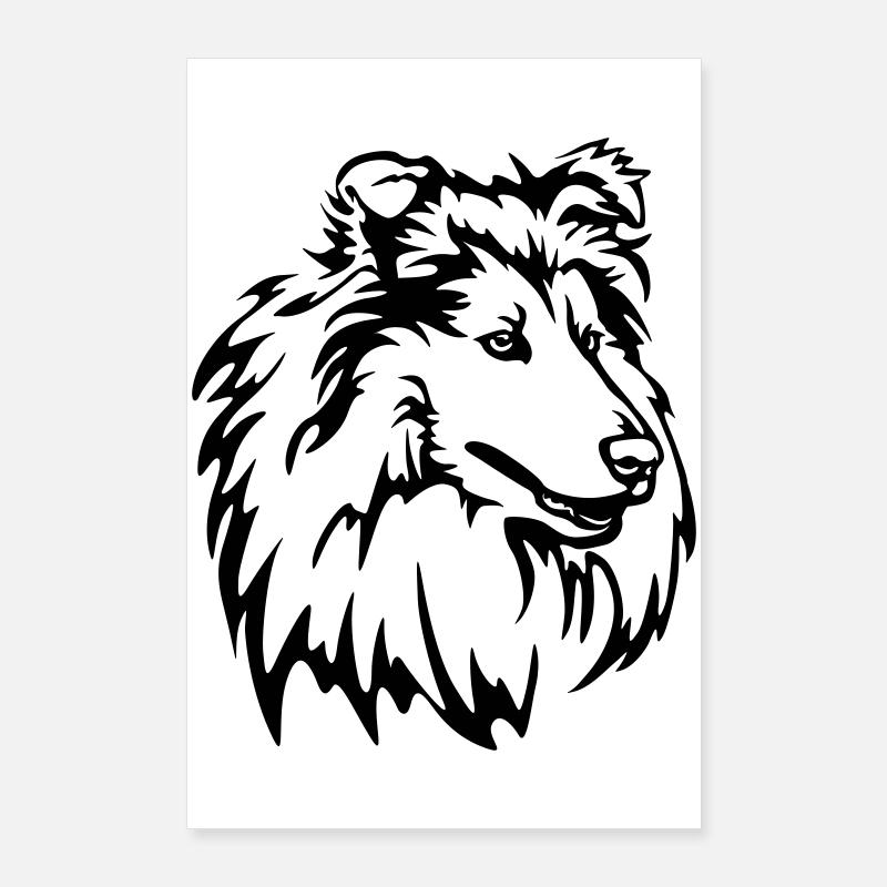 Tête de Collie Poster 60 x 90 cm