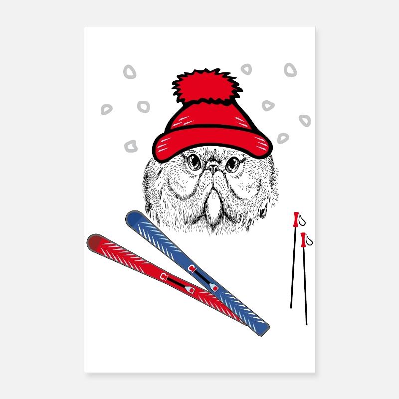Skispringer, Wintersport Poster 60x90 cm