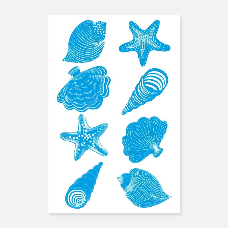 Shells and starfish Poster 24" x 35" (60x90 cm)