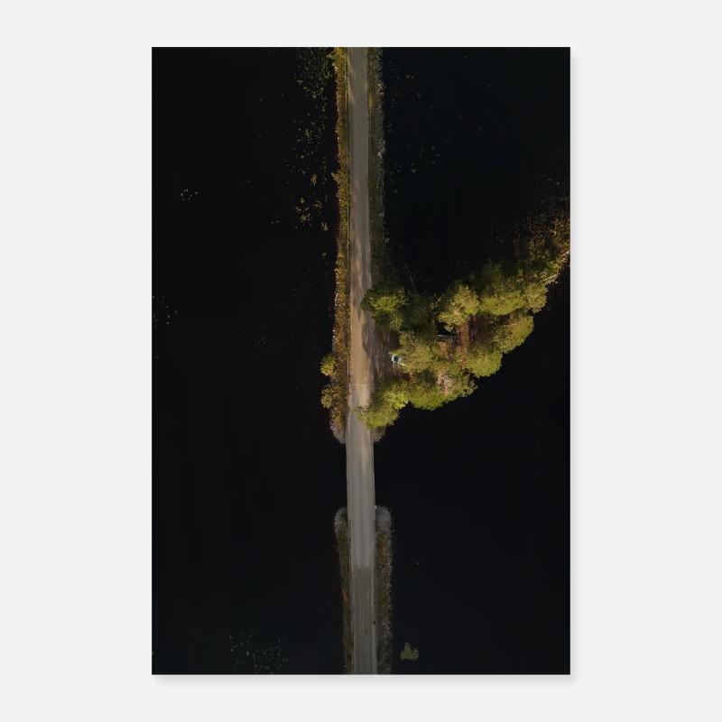 Water path in the Shadow Forest Poster 16" x 24" (40x60 cm)