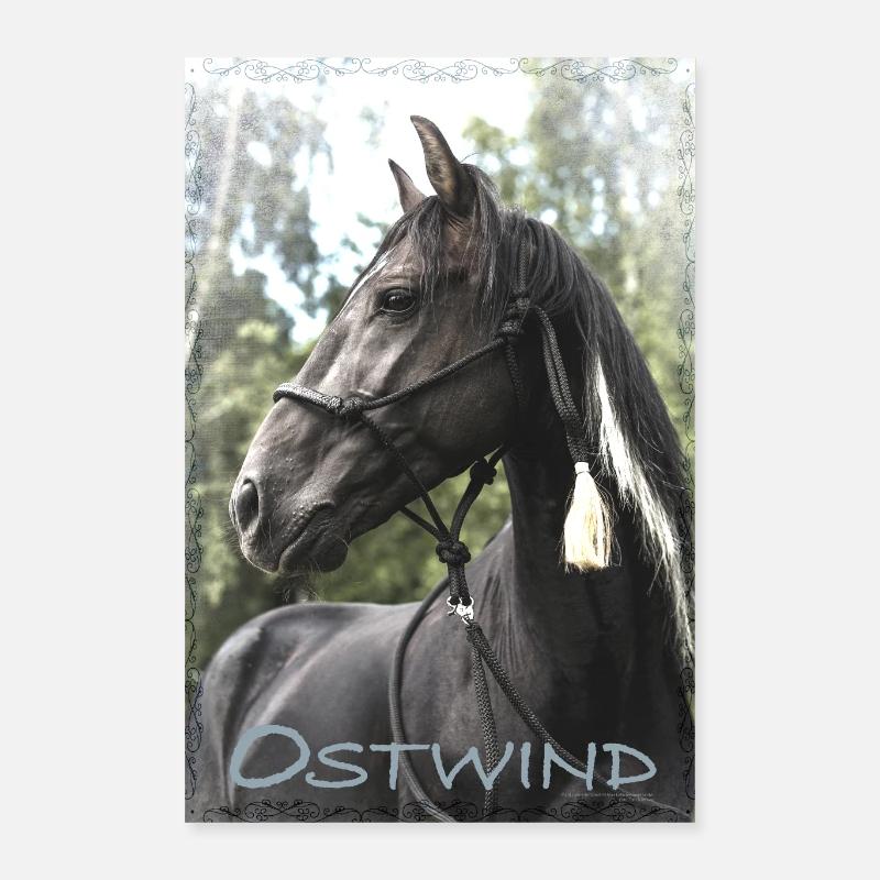 Ostwind Der schwarze Hengst Poster Poster 40x60 cm
