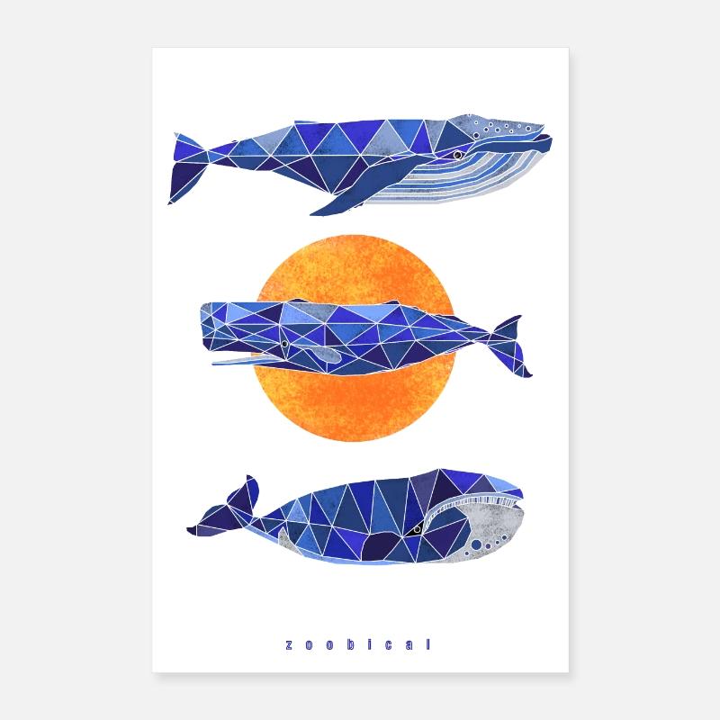 trois baleines Poster 40 x 60 cm