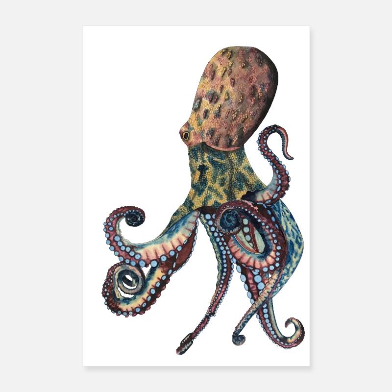 Poulpe poulpe Poster 40 x 60 cm