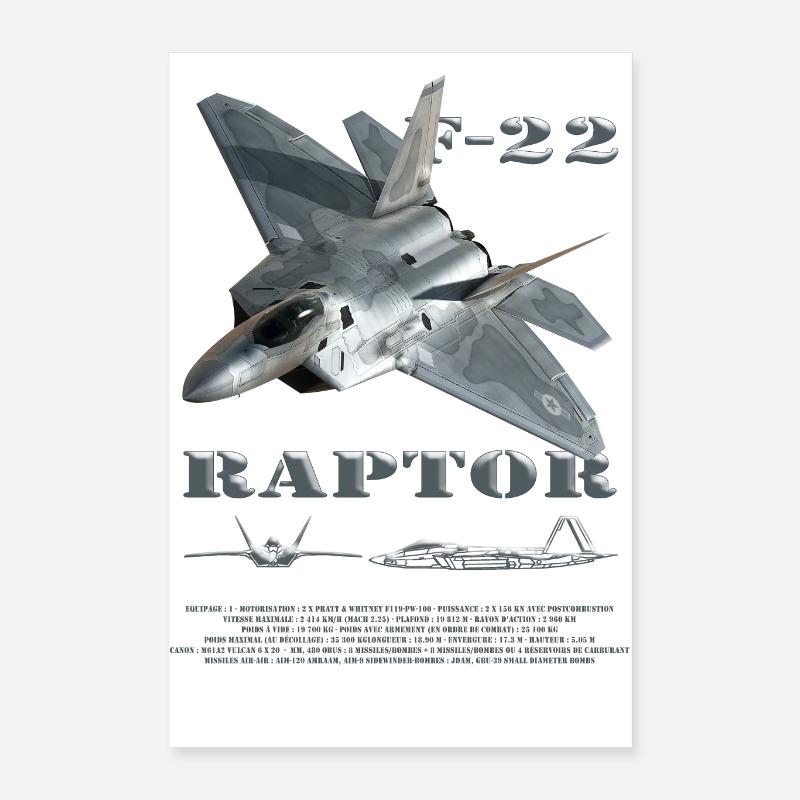 F22 2 - 2102 Poster 40x60 cm