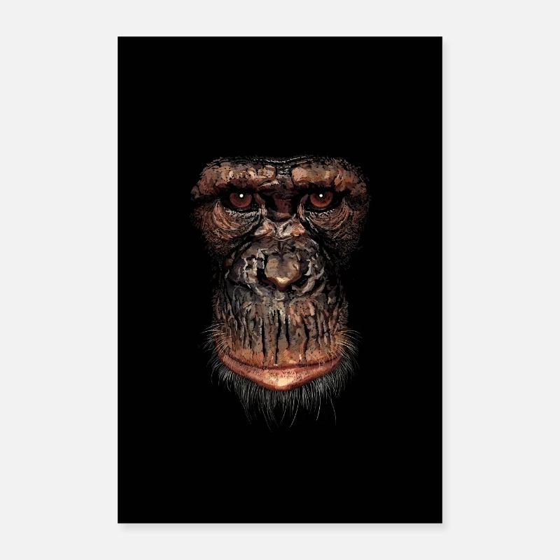 singe Poster 40 x 60 cm