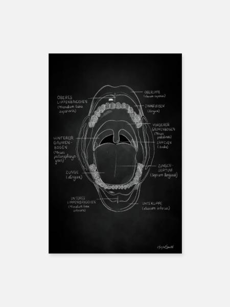Die Mundhöhle Kreidezeichnung - Poster 40x60 cm - Weiß - Vorne
