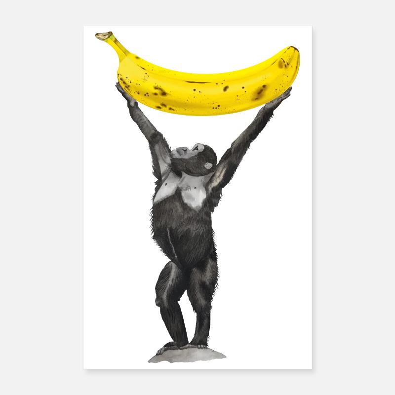 Singe Banane Singe Poster 40 x 60 cm