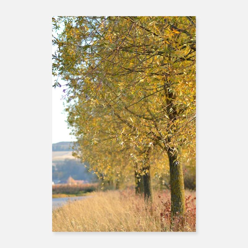 beautiful fall Poster 16" x 24" (40x60 cm)