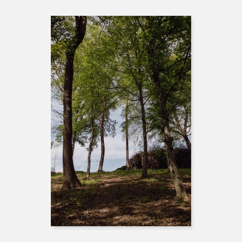 Wald Hochformat - Poster 40x60 cm - Weiß