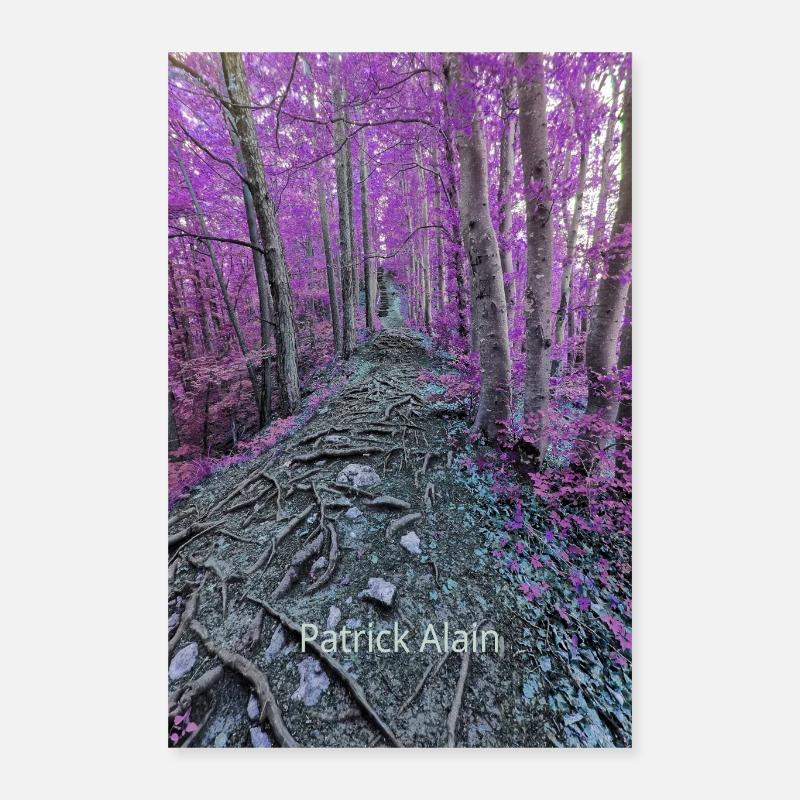 My Path - Poster 40x60 cm - Weiß
