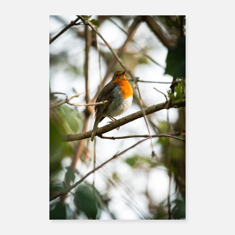 Merles dans l’arbre - Poster 40 x 60 cm - blanc
