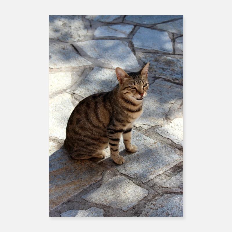 Chaton Chaton Poster 40 x 60 cm
