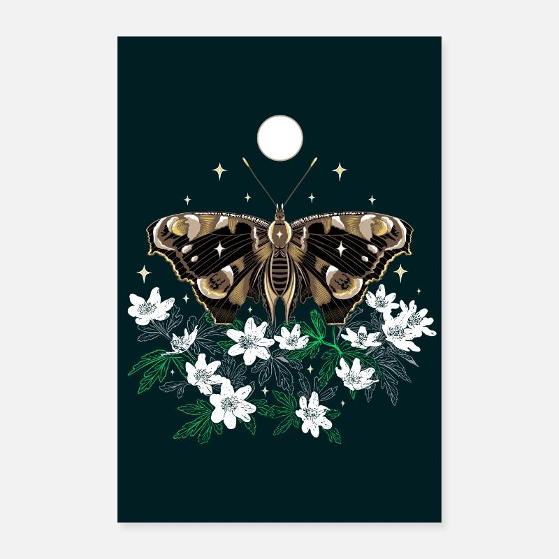 Teigne avec anémone des bois Poster 40 x 60 cm
