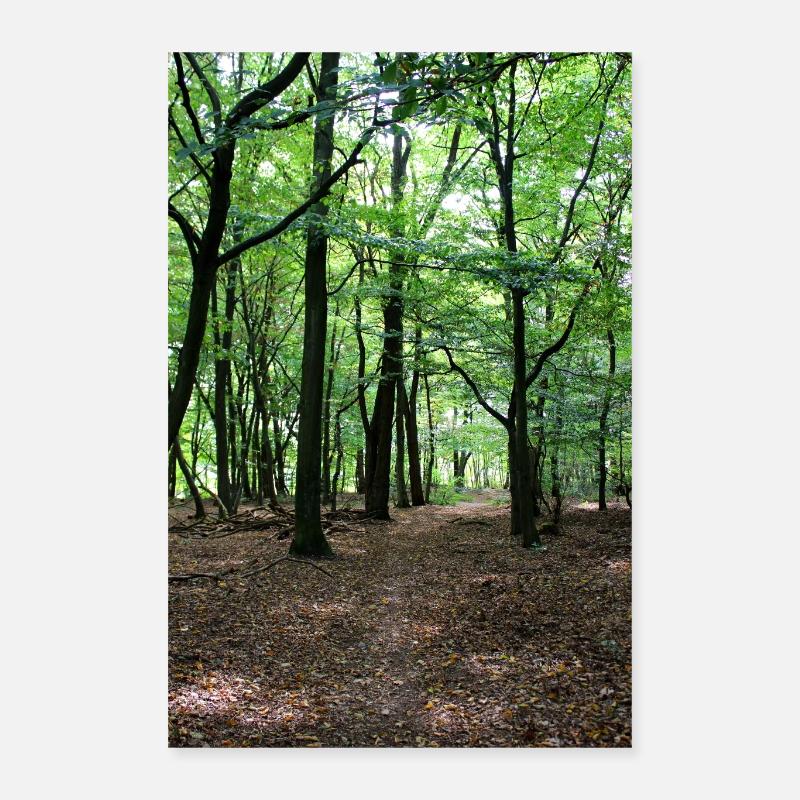 Forest Tree Trees Walk Nature Forester Poster Poster 40 x 60 cm