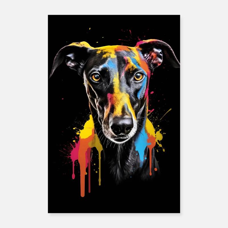 Galgo Espanol Bunt - Poster 40x60 cm - Weiß