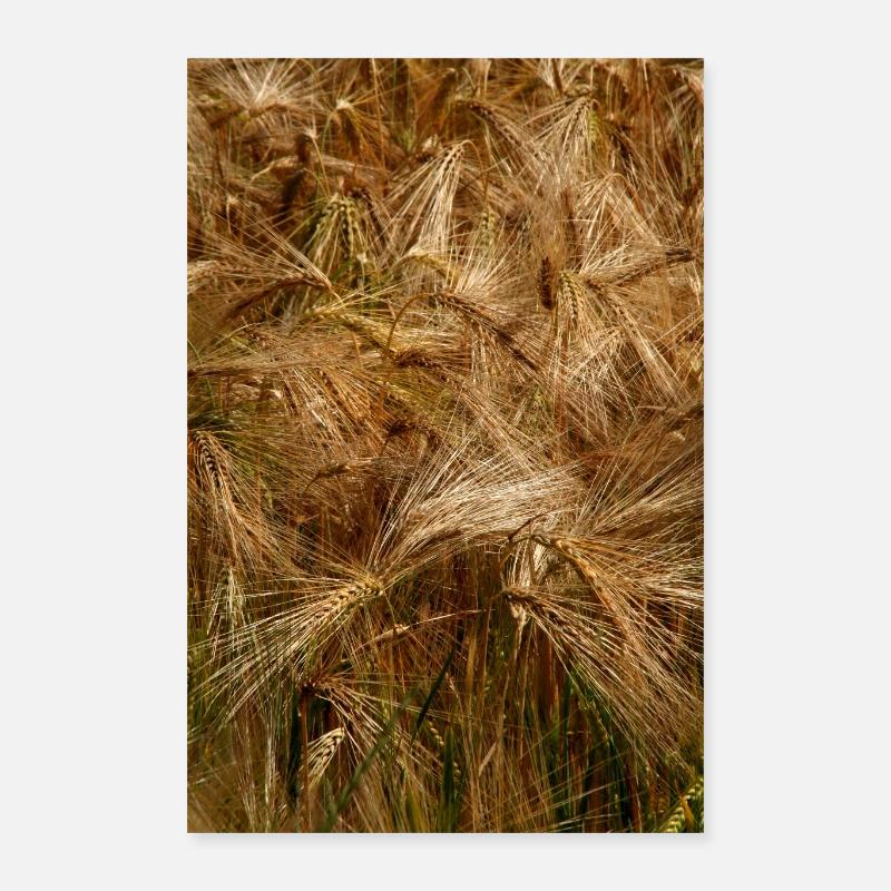 GOLDEN WHEAT Poster 16" x 24" (40x60 cm)