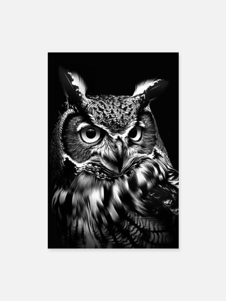 Eule - Poster 40x60 cm - Weiß - Vorne