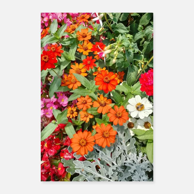 Jardin fleuri – Atmosphère colorée Poster 40 x 60 cm