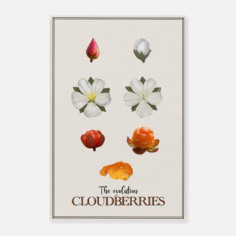 Die Evolution der Moltebeeren Poster - Poster 40x60 cm - Weiß