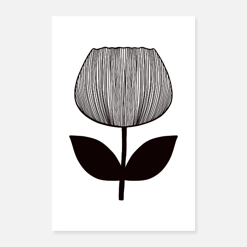 Tulip - Poster 40x60 cm - Weiß