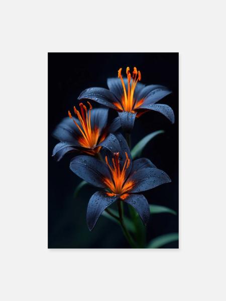 Midnight Lily Ember Glow - Poster 16" x 24" (40x60 cm) - white - Front