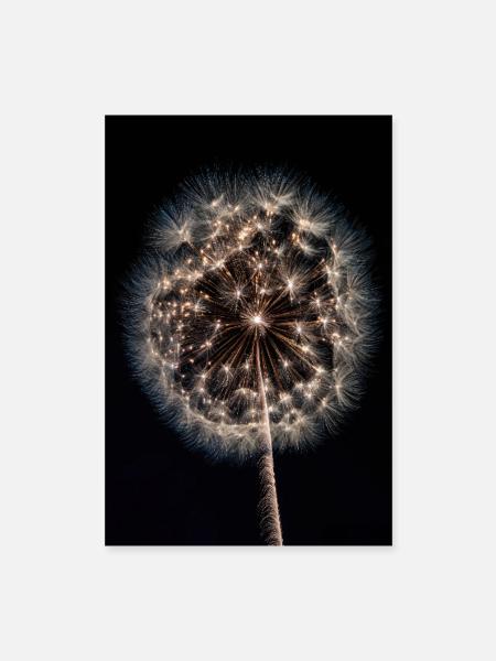 Leuchtendes Löwenzahn-Feuerwerk - Poster 40x60 cm - Weiß - Vorne