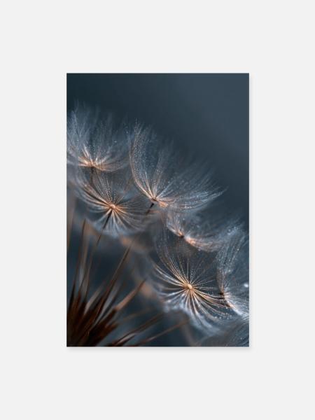 Dandelion Dewlight - Poster 16" x 24" (40x60 cm) - white - Front