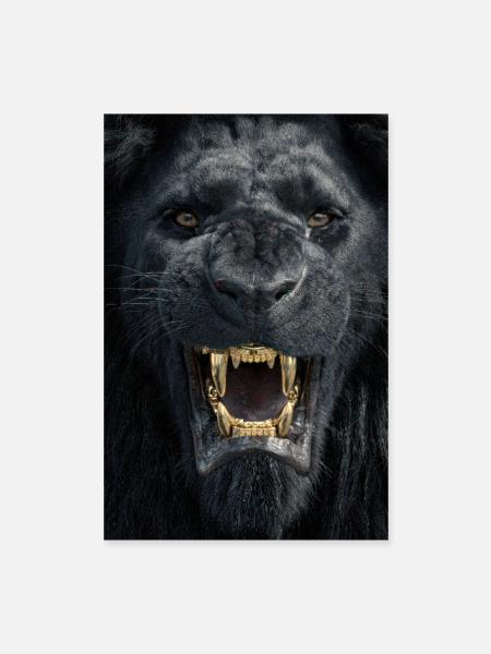 Sourire d’or de bête - Poster 40 x 60 cm - blanc - Devant