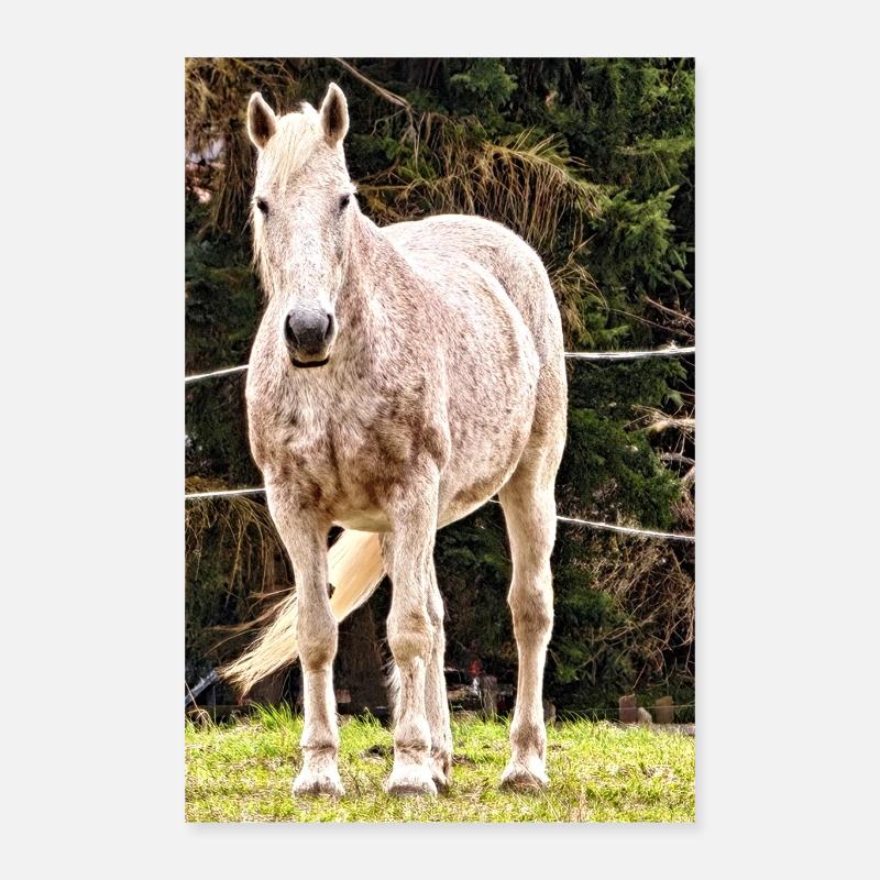 Affiche de portrait de cheval Apple Poster 40 x 60 cm