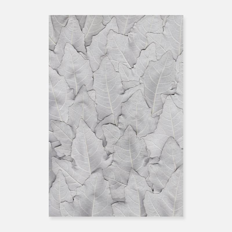 Art de la feuille blanc, argent Poster 40 x 60 cm