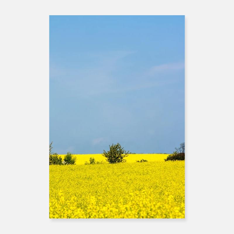 field Poster 16" x 24" (40x60 cm)