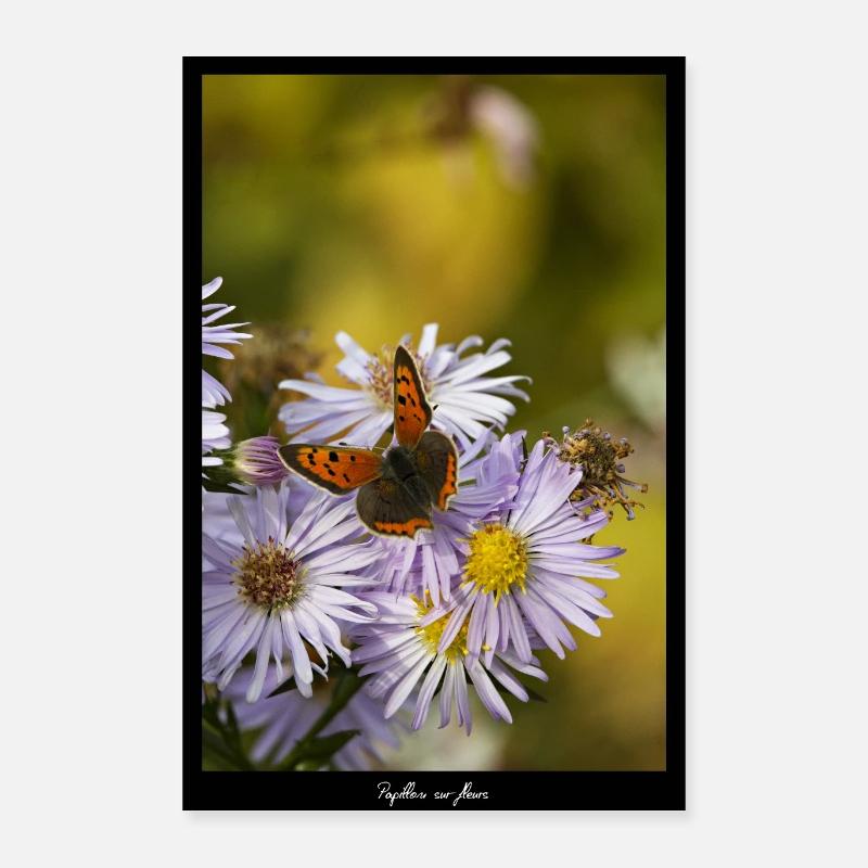 Papillon sur fleurs Poster 40 x 60 cm
