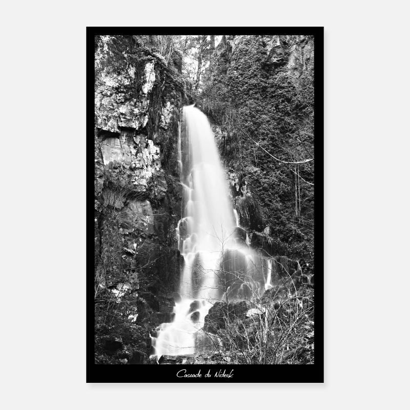 Nest Wasserfall Poster 40x60 cm