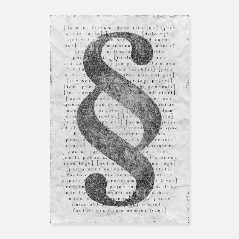 paragraf black and white Poster 16" x 24" (40x60 cm)