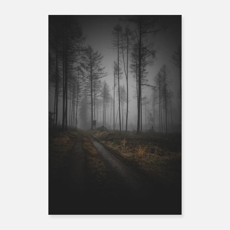 Forêt brumeuse V1 Poster 40 x 60 cm