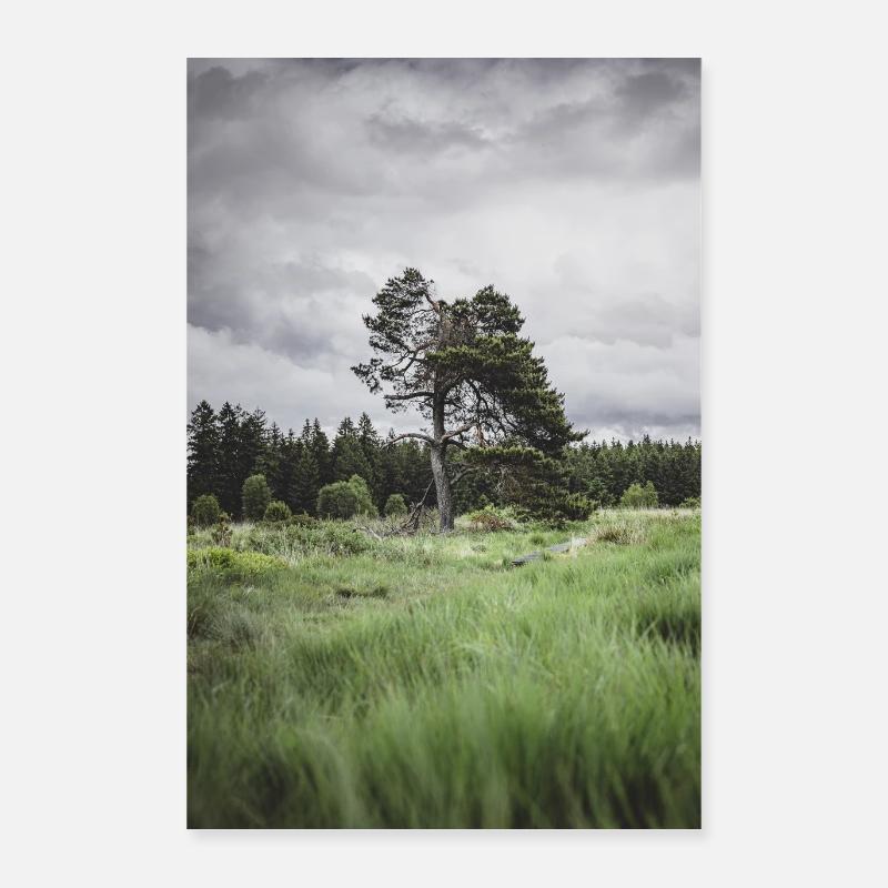 Lonely tree Poster 40x60 cm