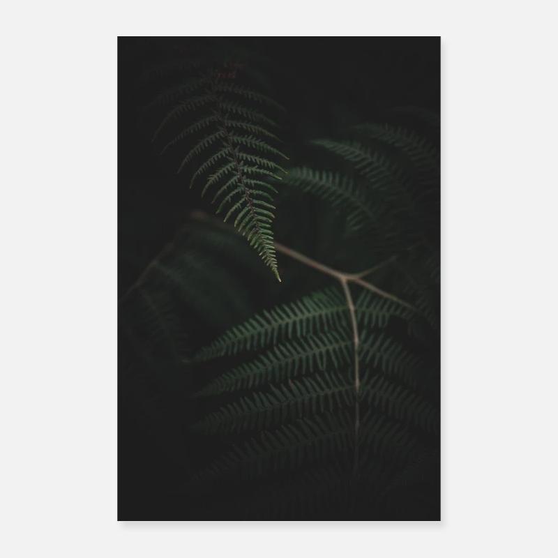 Fougères Mextures Poster 40 x 60 cm