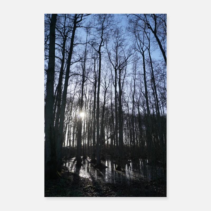 Wald mit Lichtstrahl - Poster 40x60 cm - Weiß