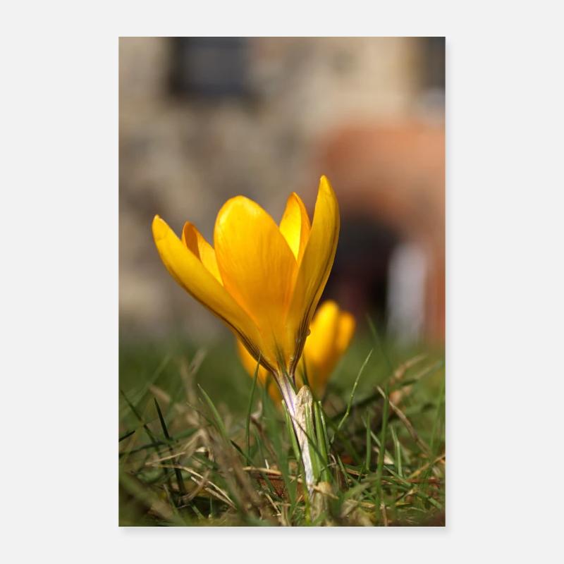 Frühling - Poster 40x60 cm - Weiß