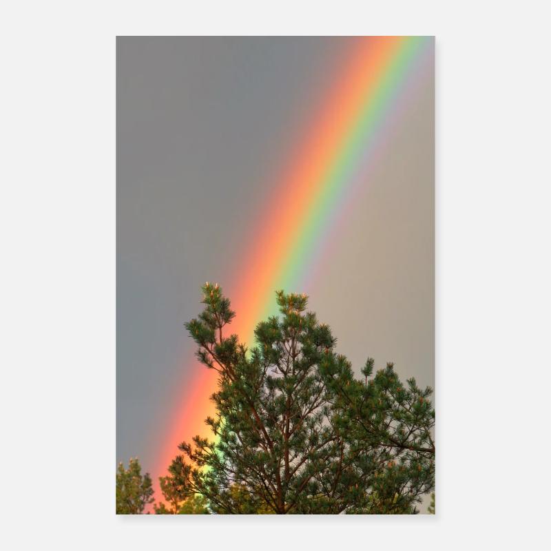 Arc-en-ciel Poster 40 x 60 cm