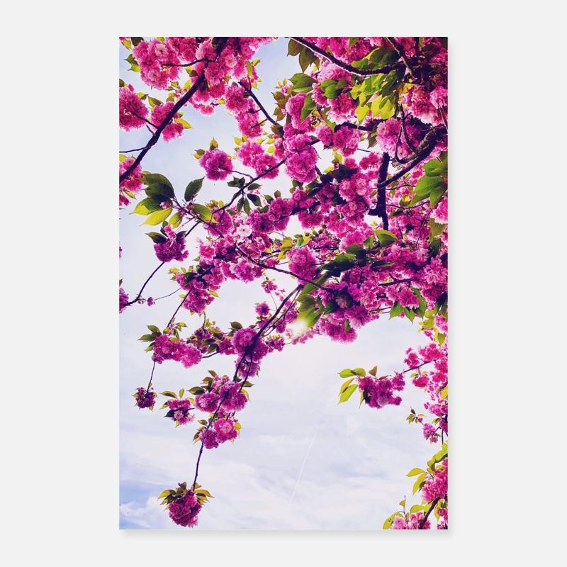 Blumen - Poster 40x60 cm - Weiß