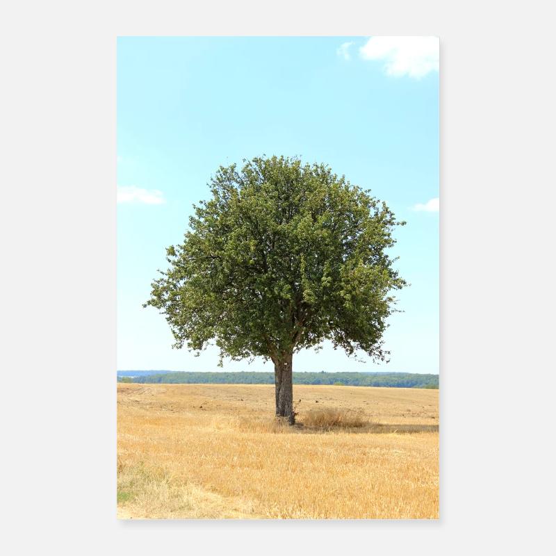 Arbre, Environnement, Nature Poster 40 x 60 cm