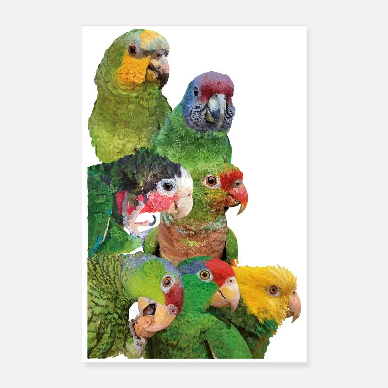 Amazonian parrots Poster 16" x 24" (40x60 cm)