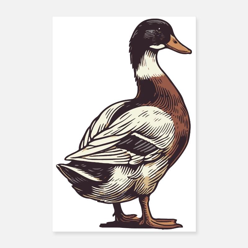 Canard Poster 40 x 60 cm