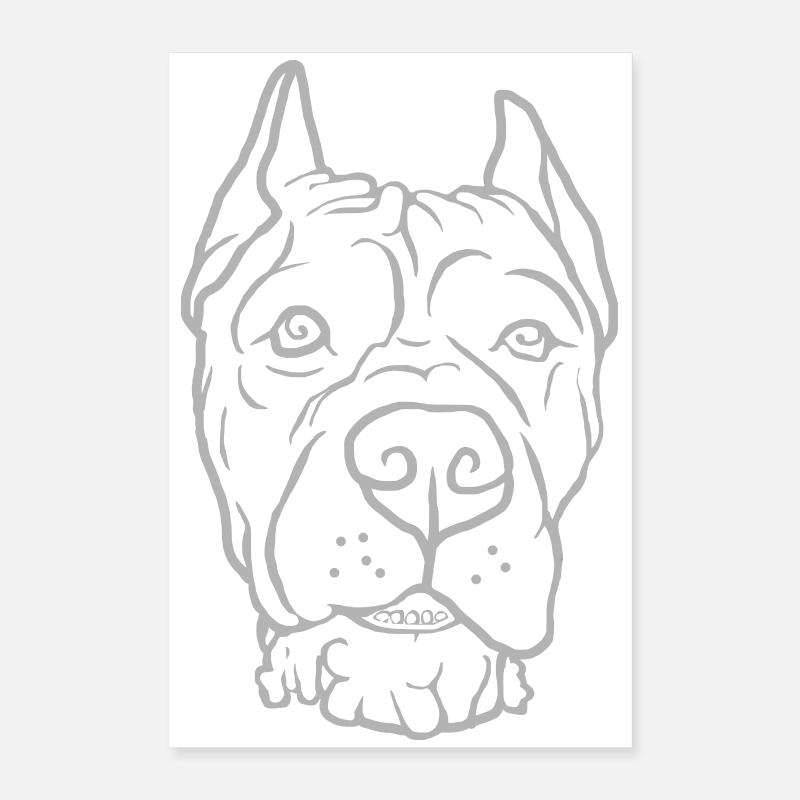 Tête de Cane Corso Poster 40 x 60 cm