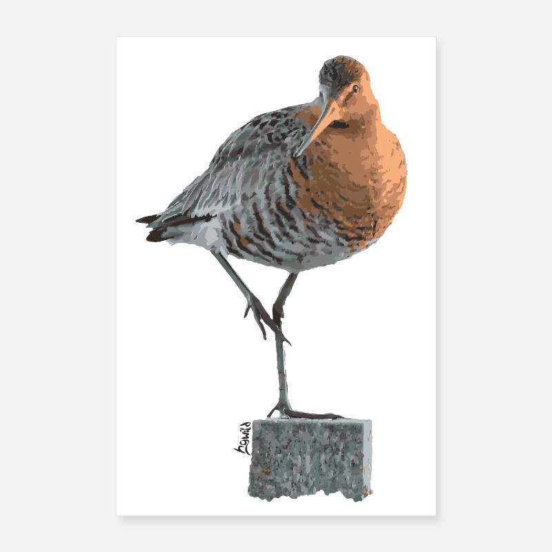 Collection De Frise orientale : Rive-neige Poster 40 x 60 cm