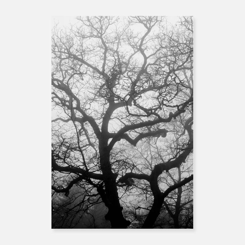 Structure de la nature Poster 40 x 60 cm