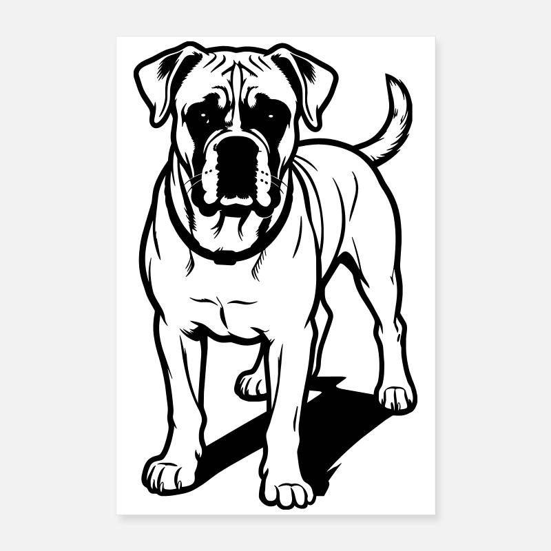 Chien boxer Poster 40 x 60 cm