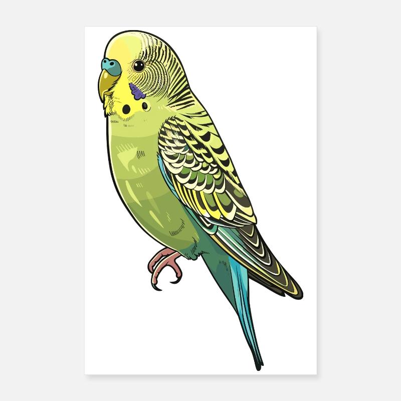 Illustration virale de perruche Poster 40 x 60 cm